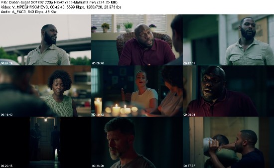 313365127_queen-sugar-s07e07-720p-hevc-x265-megusta.jpg