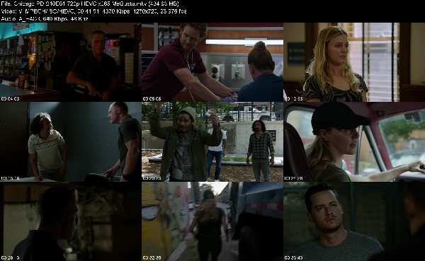 307432683_chicago-pd-s10e01-720p-hevc-x265-megusta.jpg