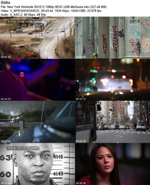 288291400_new-york-homicide-s01e12-1080p-hevc-x265-megusta.jpg