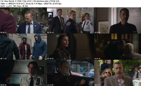 316634461_blue-bloods-s13e05-720p-hevc-x265-megusta.jpg