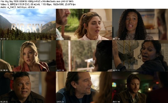 313615176_big-sky-2020-s03e05-1080p-hevc-x265-megusta.jpg