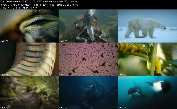 307274238_super-natural-s01e03-720p-hevc-x265-megusta.jpg