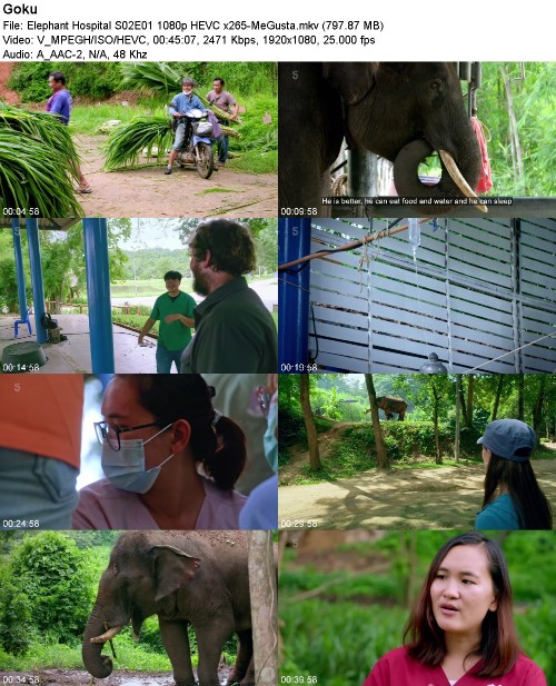 288540748_elephant-hospital-s02e01-1080p-hevc-x265-megusta.jpg