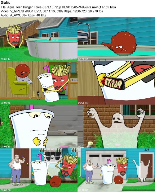 297007787_aqua-teen-hunger-force-s07e10-720p-hevc-x265-megusta.jpg