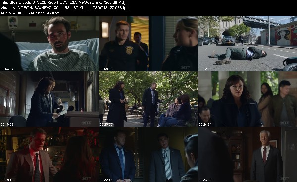 323327499_blue-bloods-s13e08-720p-hevc-x265-megusta.jpg