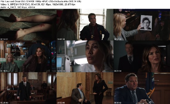 319699908_law-and-order-svu-s24e08-1080p-hevc-x265-megusta.jpg