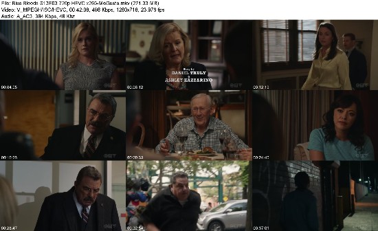 313942250_blue-bloods-s13e03-720p-hevc-x265-megusta.jpg