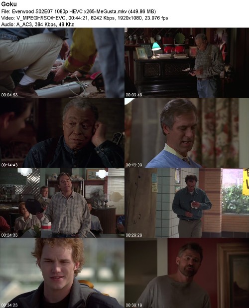 288388926_everwood-s02e07-1080p-hevc-x265-megusta.jpg