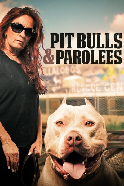 320899911_pit-bulls-and-parolees-s19e07-1080p-hevc-x265-megusta.jpg