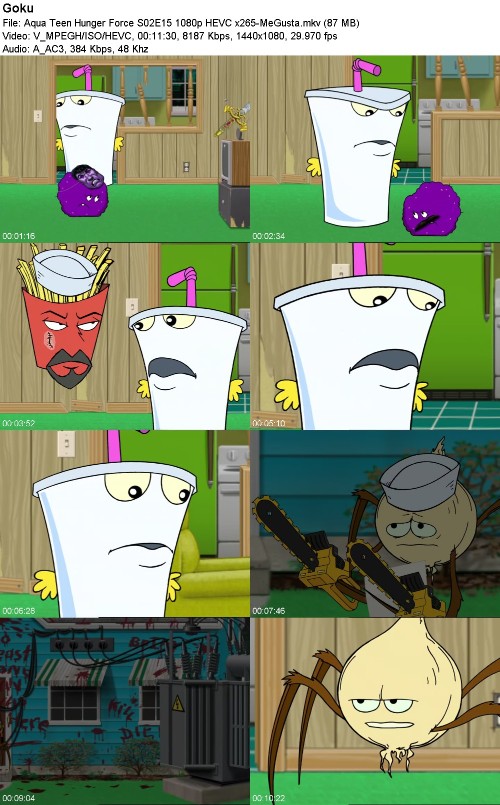 297007386_aqua-teen-hunger-force-s02e15-1080p-hevc-x265-megusta.jpg