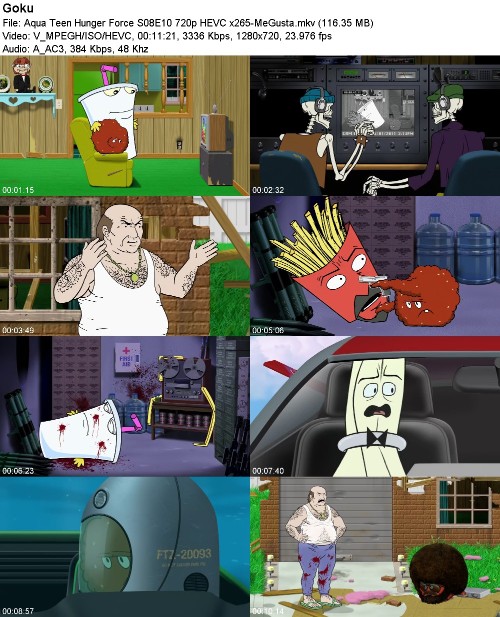 297046602_aqua-teen-hunger-force-s08e10-720p-hevc-x265-megusta.jpg