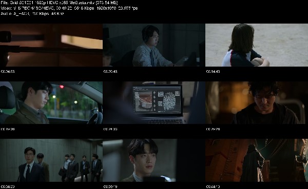 304811287_grid-s01e01-1080p-hevc-x265-megusta.jpg