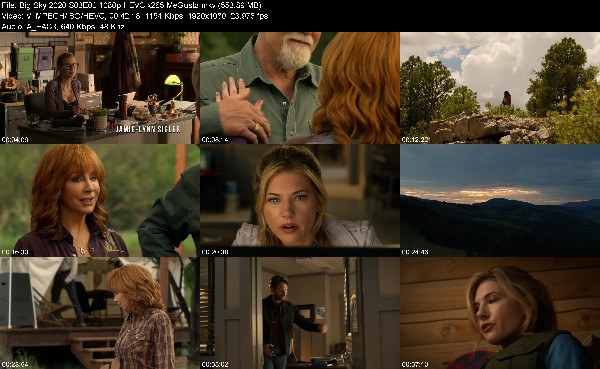 308853397_big-sky-2020-s03e02-1080p-hevc-x265-megusta.jpg