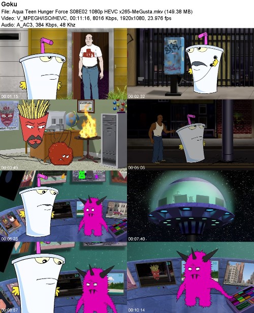 297035593_aqua-teen-hunger-force-s08e02-1080p-hevc-x265-megusta.jpg