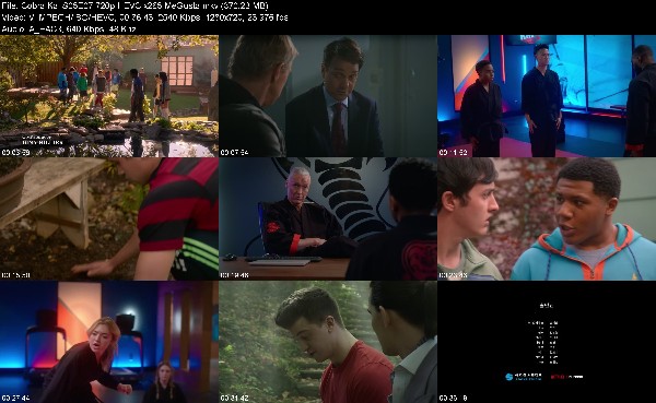 304829112_cobra-kai-s05e07-720p-hevc-x265-megusta.jpg