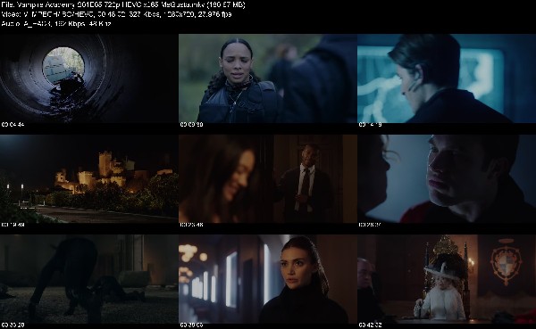 307468342_vampire-academy-s01e05-720p-hevc-x265-megusta.jpg