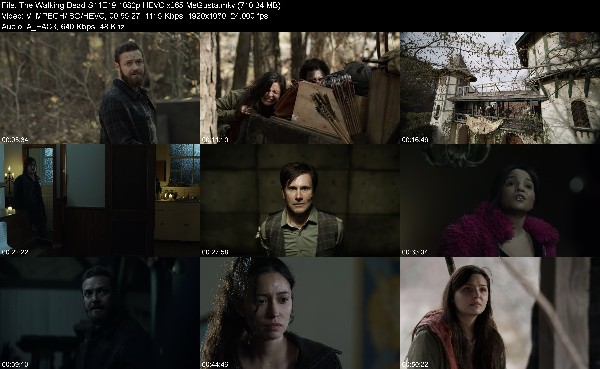 311736220_the-walking-dead-s11e19-1080p-hevc-x265-megusta.jpg