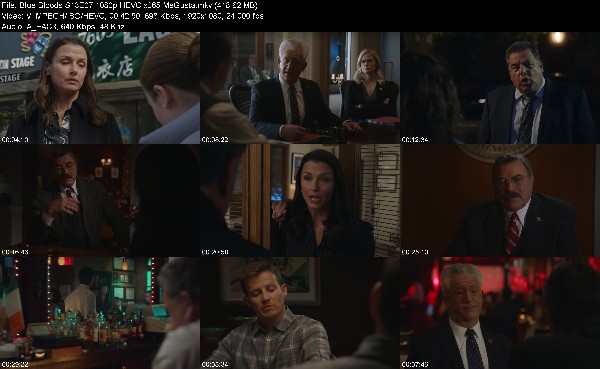 322042365_blue-bloods-s13e07-1080p-hevc-x265-megusta.jpg