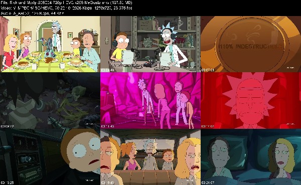 308237900_rick-and-morty-s06e04-720p-hevc-x265-megusta.jpg