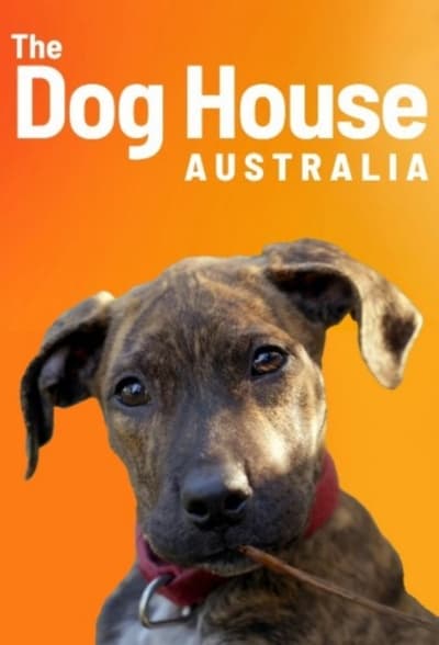 296057670_the-dog-house-au-s02e09-720p-hevc-x265-megusta.jpg