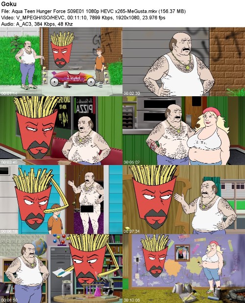 297041377_aqua-teen-hunger-force-s09e01-1080p-hevc-x265-megusta.jpg