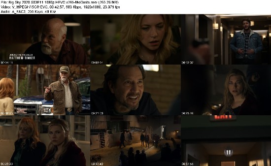 328420829_big-sky-2020-s03e11-1080p-hevc-x265-megusta.jpg