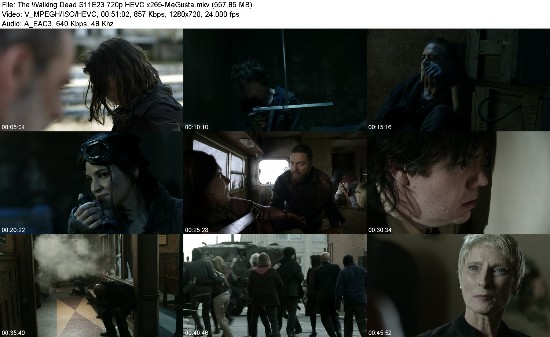 317046630_the-walking-dead-s11e23-720p-hevc-x265-megusta.jpg