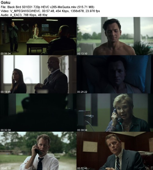 293550999_black-bird-s01e01-720p-hevc-x265-megusta.jpg