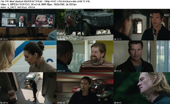 319425439_fbi-most-wanted-s04e06-internal-1080p-hevc-x265-megusta.jpg