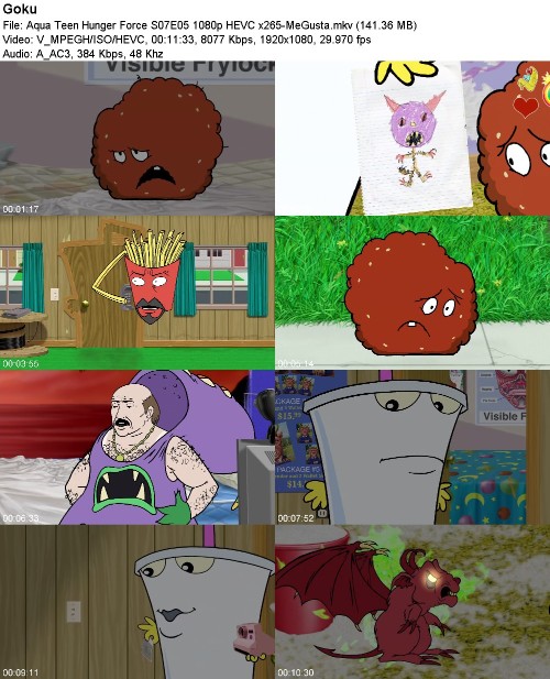 297035254_aqua-teen-hunger-force-s07e05-1080p-hevc-x265-megusta.jpg