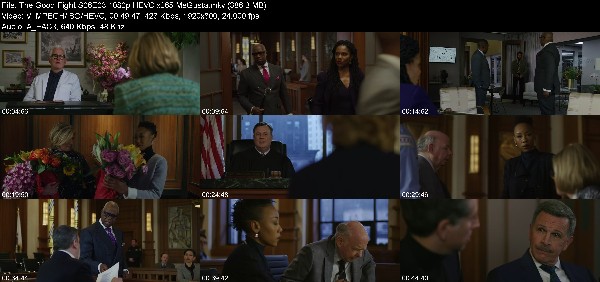 307444063_the-good-fight-s06e03-1080p-hevc-x265-megusta.jpg