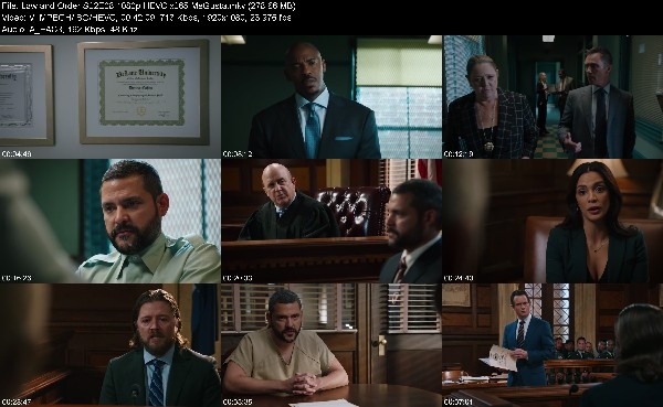 319707598_law-and-order-s22e08-1080p-hevc-x265-megusta.jpg