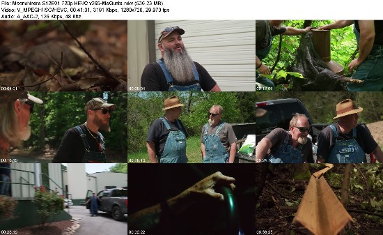 317975965_moonshiners-s12e01-720p-hevc-x265-megusta.jpg