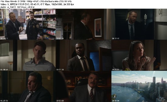 319744035_blue-bloods-s13e06-1080p-hevc-x265-megusta.jpg