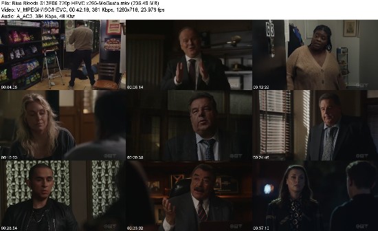 319569515_blue-bloods-s13e06-720p-hevc-x265-megusta.jpg