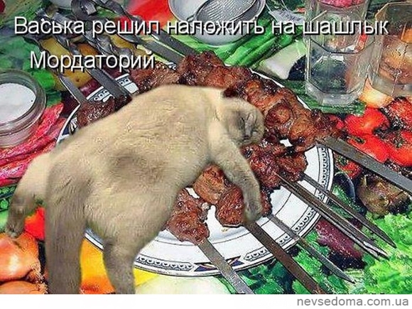 0_214fb4_6082d2ac_orig.jpg