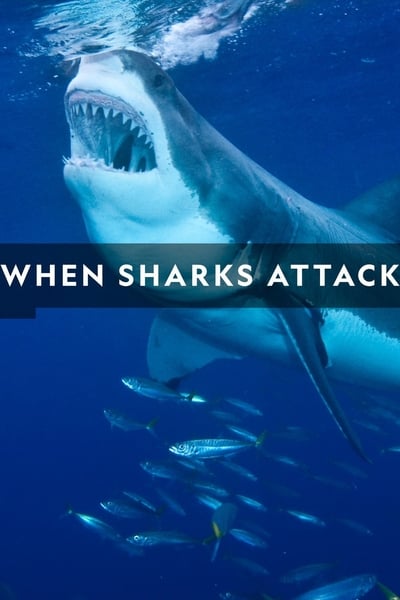 294987055_when-sharks-attack-s08e02-1080p-hevc-x265-megusta.jpg