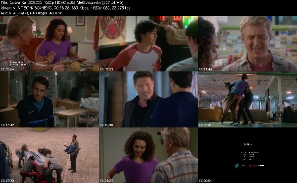 304718926_cobra-kai-s05e03-1080p-hevc-x265-megusta.jpg