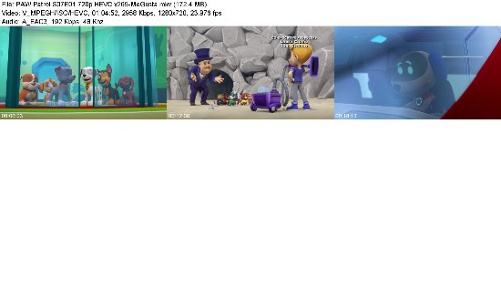 323424790_paw-patrol-s07e01-720p-hevc-x265-megusta.jpg