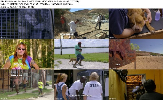 320899969_pit-bulls-and-parolees-s19e07-1080p-hevc-x265-megusta.jpg