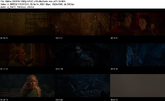 326705235_willow-s01e06-1080p-hevc-x265-megusta.jpg