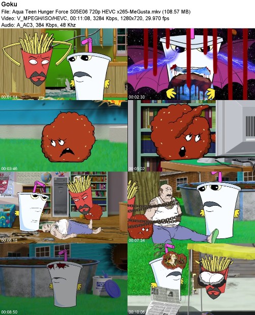 296990203_aqua-teen-hunger-force-s05e06-720p-hevc-x265-megusta.jpg