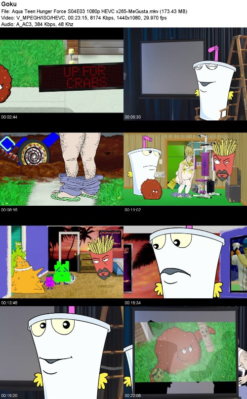 297017064_aqua-teen-hunger-force-s04e03-1080p-hevc-x265-megusta.jpg