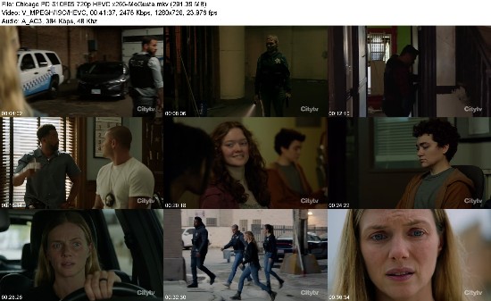 313560984_chicago-pd-s10e05-720p-hevc-x265-megusta.jpg