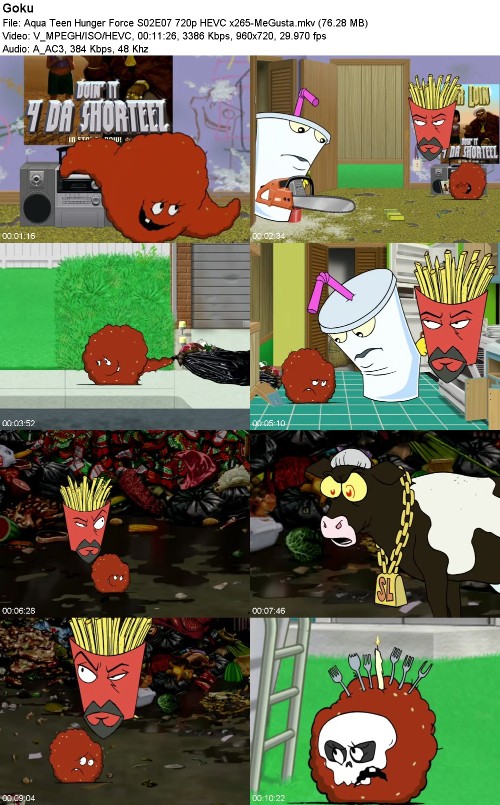 296972290_aqua-teen-hunger-force-s02e07-720p-hevc-x265-megusta.jpg