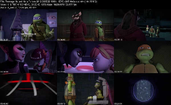 328593785_teenage-mutant-ninja-turtles-2012-s03e22-1080p-hevc-x265-megusta.jpg