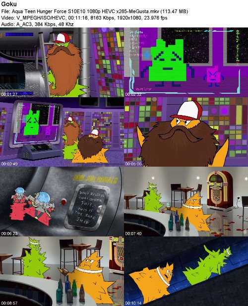 297048832_aqua-teen-hunger-force-s10e10-1080p-hevc-x265-megusta.jpg