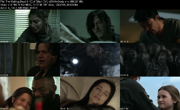 319889388_the-walking-dead-s11e24-720p-hevc-x265-megusta.jpg