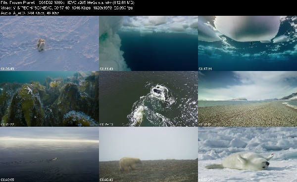 306821262_frozen-planet-ii-s01e02-1080p-hevc-x265-megusta.jpg