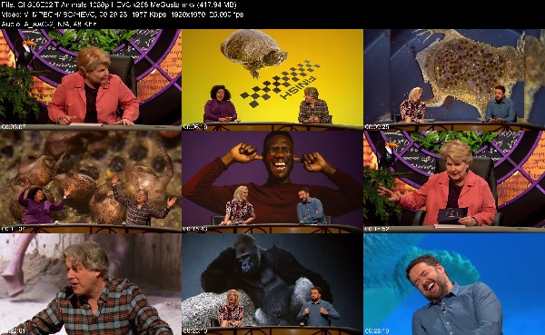 319783910_qi-s20e02-t-animals-1080p-hevc-x265-megusta.jpg